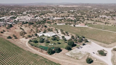 Pull away drone aerial view over an American lush green suburban neighborhood. Stock Footage 280175994
