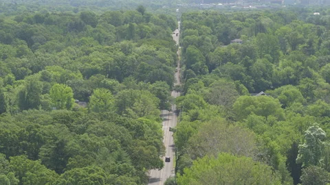 Pull away over pretty road in residential area as a school bus drives down Stock Footage 132799260