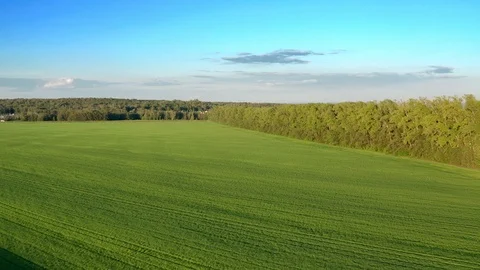 The pull away shot of the field. Stock Footage 112195227