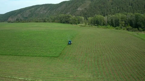 The pull away shot over agricultural field. Vidéo 115855387