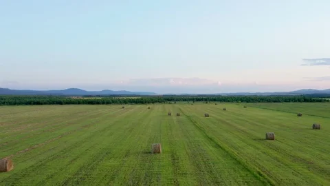 The pull away shot over a harvested field. Stock Footage 114122895