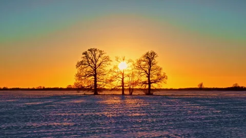 Pull back aerial shot capturing sun rays through silhouette bare trees in a Stock Footage 318299087