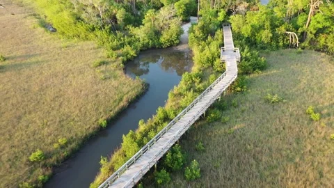 Pull-back Aerial Spruce Creek Park Canoe Launch Strickland Bay, Florida. Stock Footage 157373519