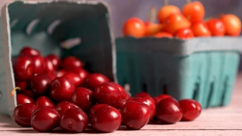 Pull back and pitch up trucking shot of Bing cherries spilling out of Stock Footage 109511432