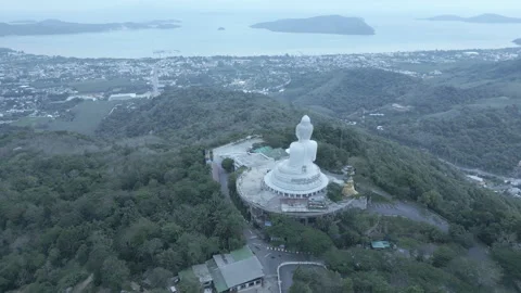 Pull back on Big Buddha Stock Footage 294968096