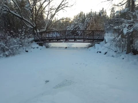 Pull back from Bridge to Ice skating Rink Stock Footage 72688847