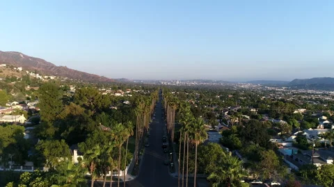 Pull back drone shot above palm trees and homes Stock Footage 138076768
