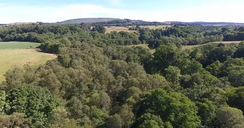 Pull Back Drone Shot of Scottish Rounded Forest and Landscape in Summer 스톡 동영상 97527814