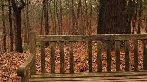 PULL BACK FALL BENCH Stock Footage 187098242
