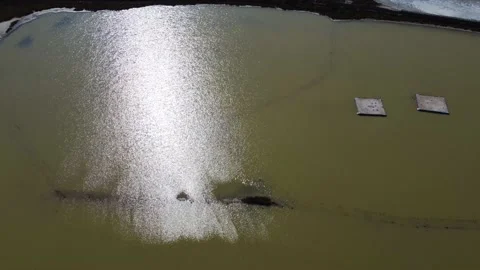 Pull Back Flight Over Sea Surface, Sunrise Aerial View, Golden Reflections On Stock Footage 225859017