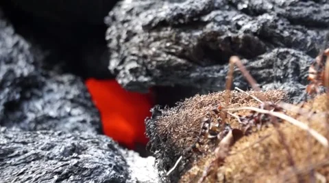 Pull back on a molten vent hole - Kilauea Hawaii Stock Footage 49701370