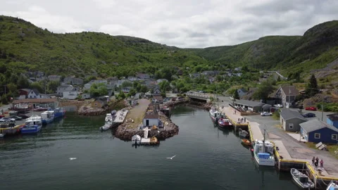 Pull back over inner Petty Harbour, Newfoundland Video stock 220942145