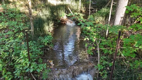 Pull Back Over Small Waterfall and Stream Near Barrie Ontario Stock Footage 318378684