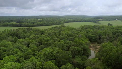 Pull back over trees and stream on a cloudy day in the country, Stock Footage 161140288