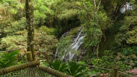 Pull Back Shot Cascada Oído del Mundo Waterfall Viewing Platform Jungle Minca Video stock 337391349