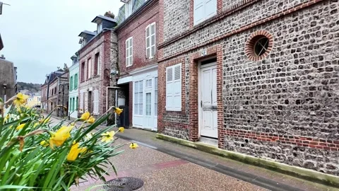 Pull-back shot from a flowerbed revealing a charming street lined with tradition Vídeos de archivo 332999856