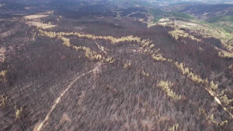 Pull back shot of natural damage caused by global warming. 4K Video. Stock-Footage 160850240