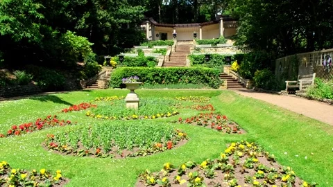 Pull back shot of a pretty flower garden Video stock 314138186