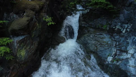 A pull back shot revealing a waterfall in a forest Stock Footage 163156252