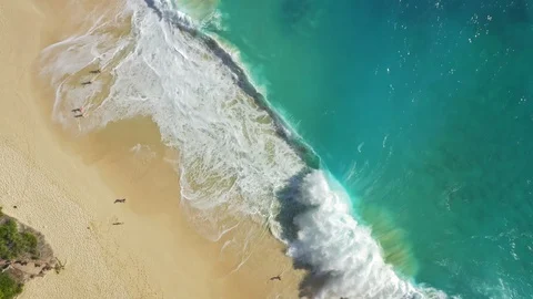 Pull Back Spinning Top Down Drone Shot of Big Waves Hit Kelingking Beach at N Stock Footage 113766969