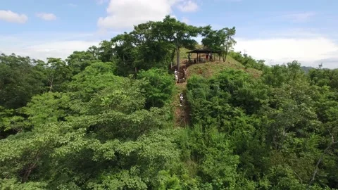 Pull back tilt down view above person riding zip line across lush green Video stock 131628221