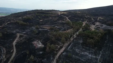 Pull back view of area effected by fire. Stock-Footage 159602694