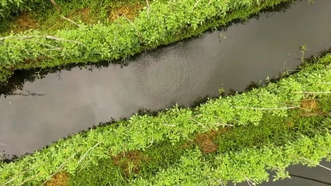Pull-back view of floating Gardens, Inle Lake Stock Footage 111840917