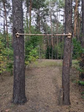 Pull-up bar for exercising in the forest. Training outdoors with a pull-up bar Photos