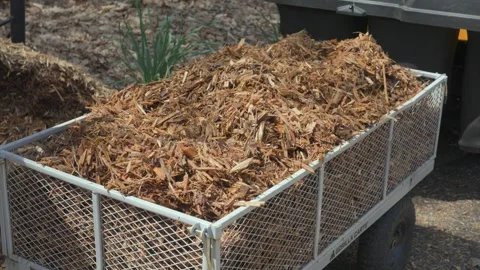 A pull cart for yardwork and landscaping brimming with mulch. Stock Footage 336428001