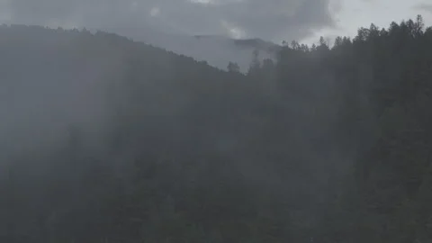 Pull Down From Clouds To Foggy Trees Stockbeeldmateriaal 248735905