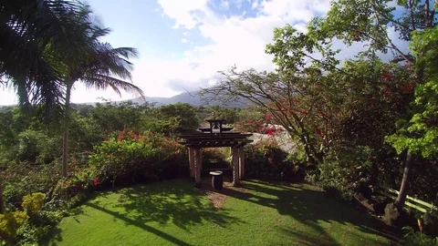 Pull up drone shot of lush green jungle in Puerto Rico Stock Footage 91461260