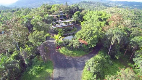 Pull up drone shot of lush green forest in Puerto Rico Stock Footage 91461440