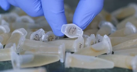 Pull the eppendorf out of the drain Stock Footage 111226389