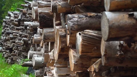 Pull focus along a stack of logs in a woodpile Stock Footage 93782428