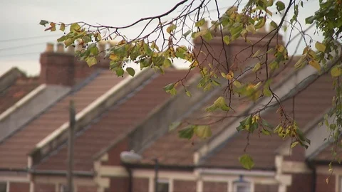 Pull focus from a branch of a tree to some roofs Stock Footage 120088436