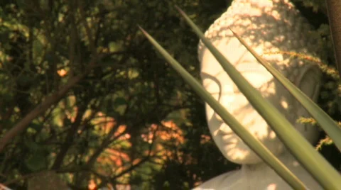 Pull focus to Budda statue in the summer behind a Yucca plant Stock Footage 860715