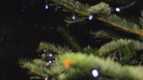 Pull Focus, Close-Up Christmas Tree Branches with LED String Lights and Stock Footage 121461620