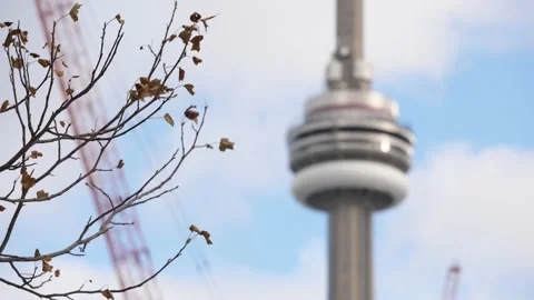 Pull Focus on CN Tower Toronto Vídeo Stock 149220299