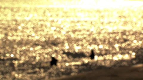 Pull focus of dip netters fishing for salmon Stock Footage 40465481