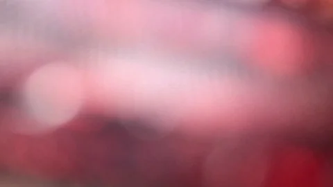 Pull focus onto the eye of a snake Stock Footage 92473806