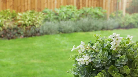 Pull focus from indoor flower to outside plants Stock Footage 35753549