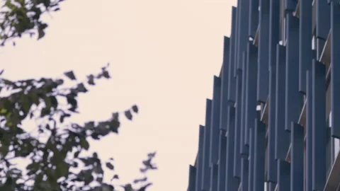 Pull focus from leafy branches to the top of a building Stock Footage 165284324