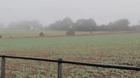 Pull Focus on a Misty English Field Stock-Footage 40975383