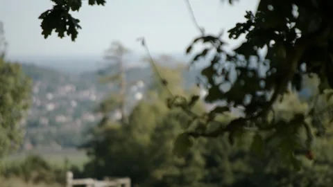 Pull Focus from an Oak Tree to Dorking Видео 300256517