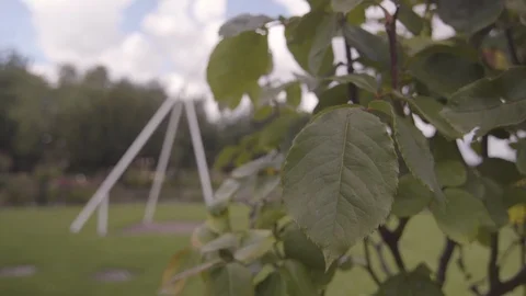 PULL FOCUS FROM PLANT TO ARTWORK IN HAGGERSTON PARK Stock Footage 126707353