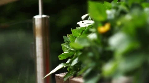 Pull focus on planter box Stock Footage 94720028