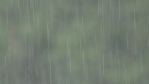 Pull focus of rainfall in front of forest Stock Footage 340820495