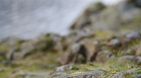 Pull Focus Rocks to Beautiful Lake Bokeh English Countryside (720) 動画素材 40769354