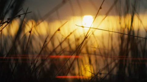 Pull focus sunset on the beach with anamorphic flare Stock Footage 89998621