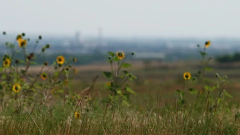Pull into focus a town in the distance with smokestack Stock Footage 86919591